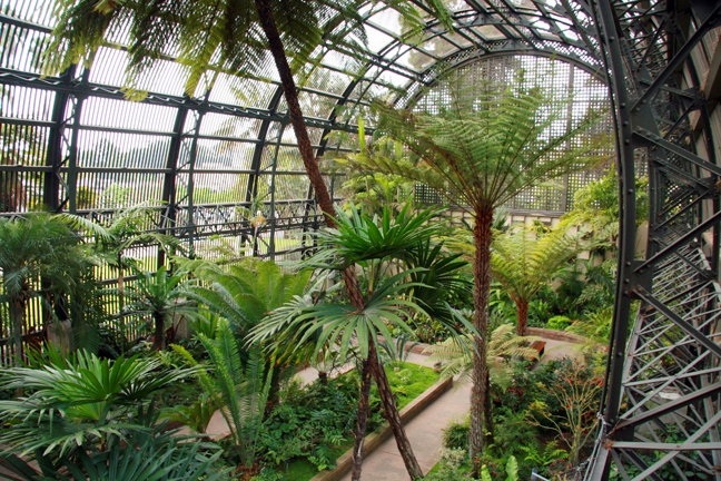 Envision Greenery in a greenhouse