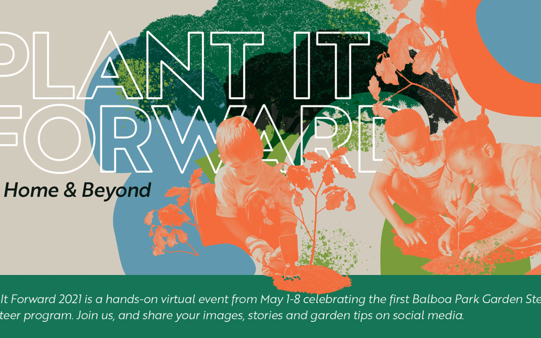 Plant It Forward – Video and Instructions
