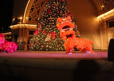 Chinese Dragon and tree, December Nights