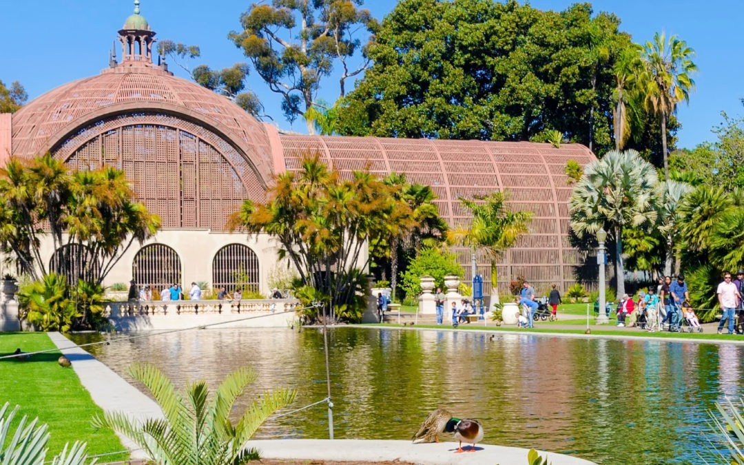 A SNAPSHOT OF THE BALBOA PARK CONSERVANCY’S TRUSTEES