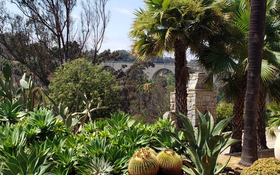 New Park Benefactor Makes Immediate Impact to Restore Old Cactus Garden
