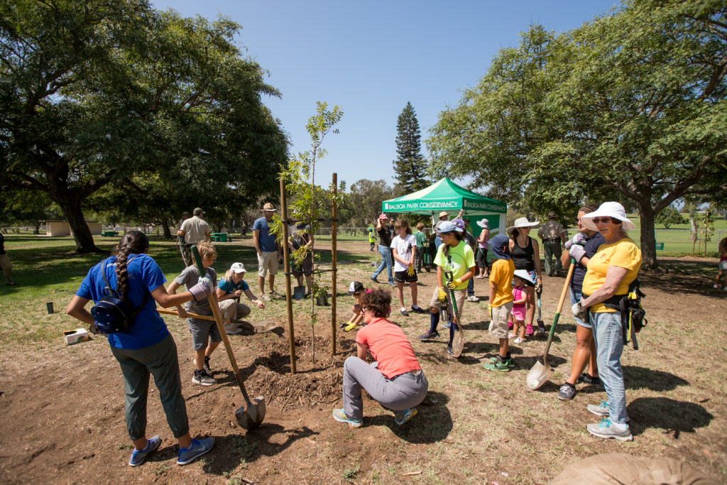 tree-planting-event-forever-balboa-park