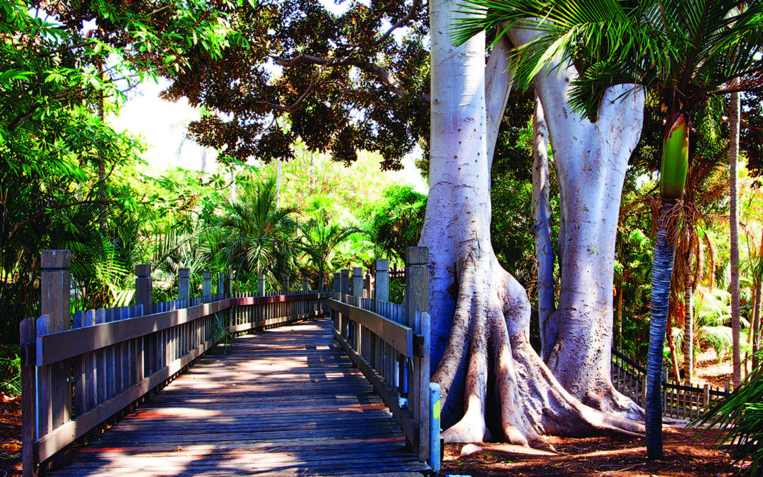 5 Ways to Love Your Park in 2020