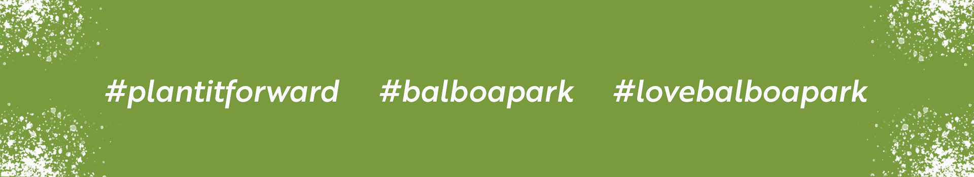 #plantitforward #balboapark #lovebalboapark