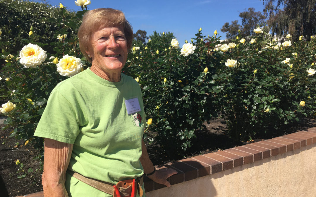 Volunteer Profile: Sue Streeper, Original Rose Garden Volunteer
