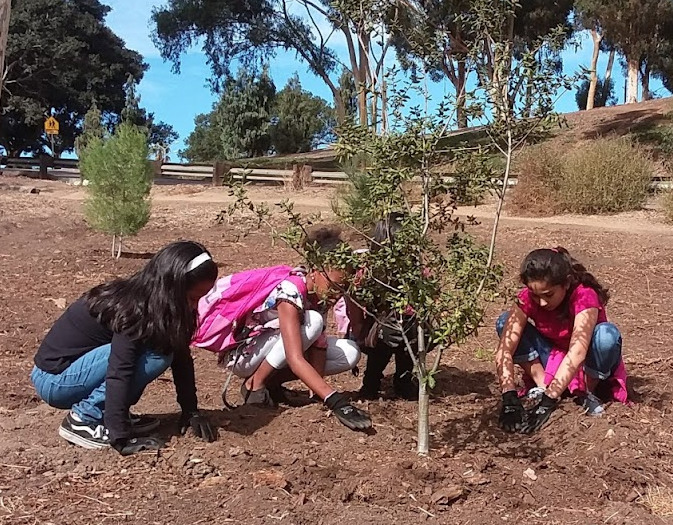 5 Ways to Improve Tree Equity in Our Communities 